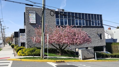 Acupuncture Clinic